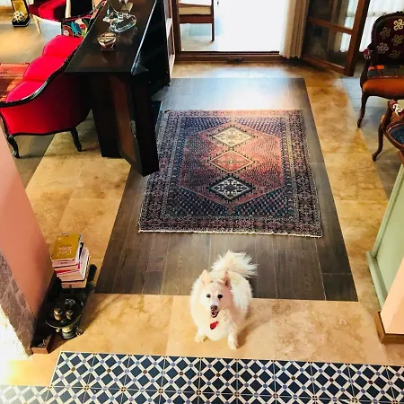 Ferienhaus Bakacak *