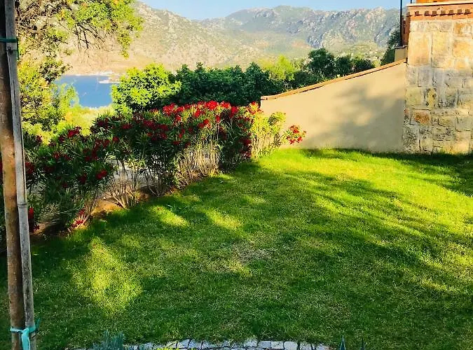 Bakacak * Selimiye (Aegean)