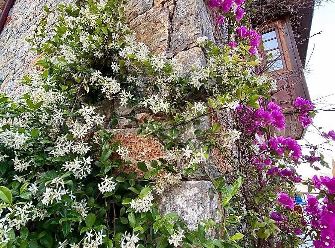 Bakacak Hébergement de vacances
