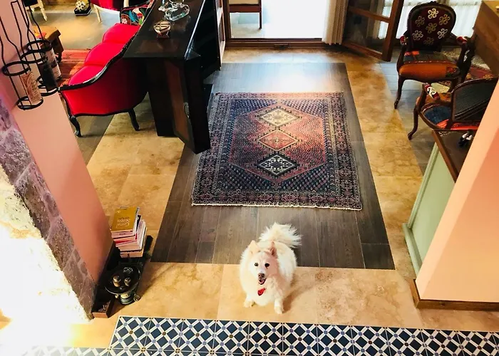 Hébergement de vacances Bakacak *